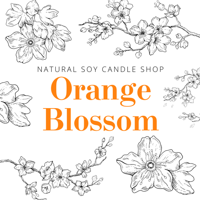 Orange Blossom  Soy Candles