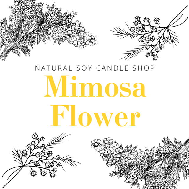 Mimosa Flower Soy Candle